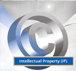 Intellectual Property Contracts